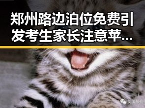 郑州路边泊位免费引发考生家长注意 苹果回应iPhone改日期空出20G事件引发关注