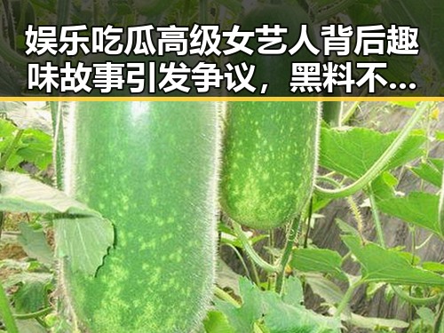 娱乐吃瓜高级女艺人背后趣味故事引发争议，黑料不打烊在线入口揭秘明星P图网站背后内幕